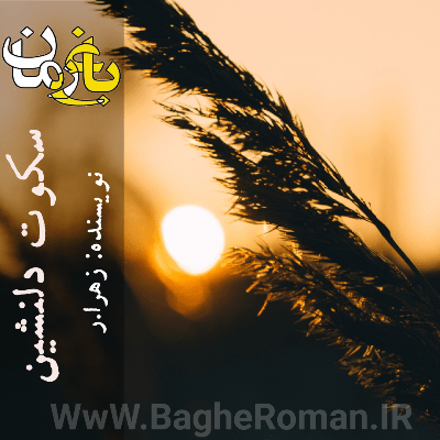 دانلود رمان سکوت دلنشین