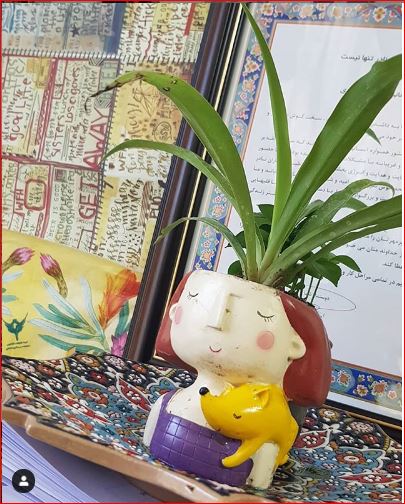 هدیه گلدان گل 