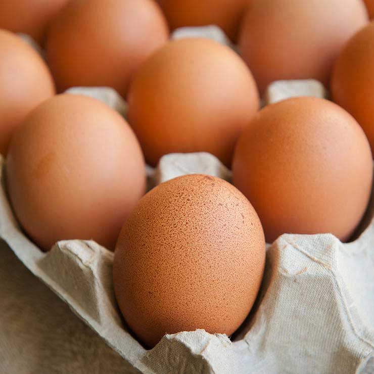 برای رفع گرسنگی چه بخوریم,سیر شدن,تخم مرغ