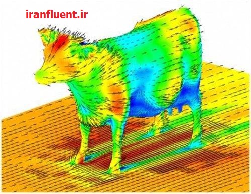 شبیه سازی جریان هوا بر روی یک گاو