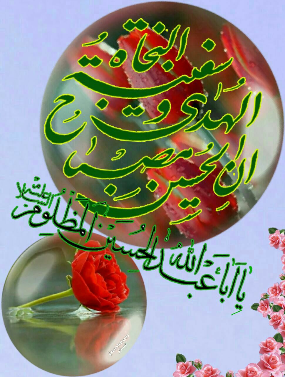 ان الحسین مصباح الهدی وسفینه النجات