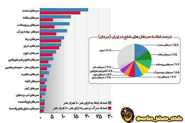 مردان