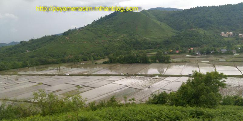 http://s8.picofile.com/file/8361012100/11_21_.jpg