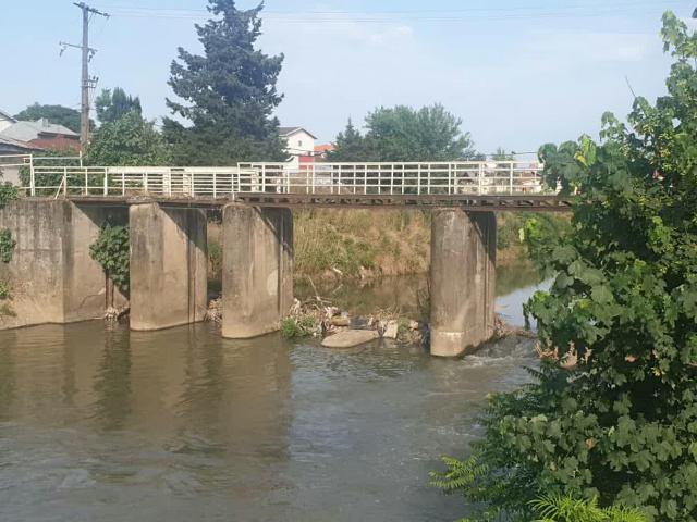 پاکسازی حاشیه رودخانه زرجوب محدوده سد کشاورزی با تاکید شهردار رشت 3 photo 2019 06 22 10 51 15