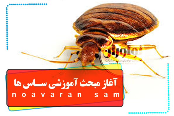 ساس ها ساس ها