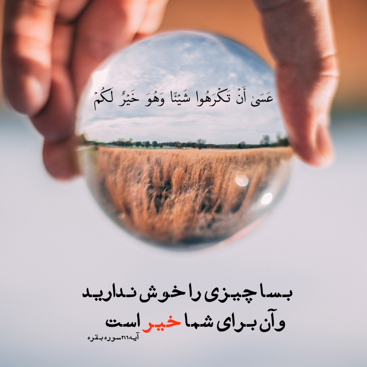 منتظر