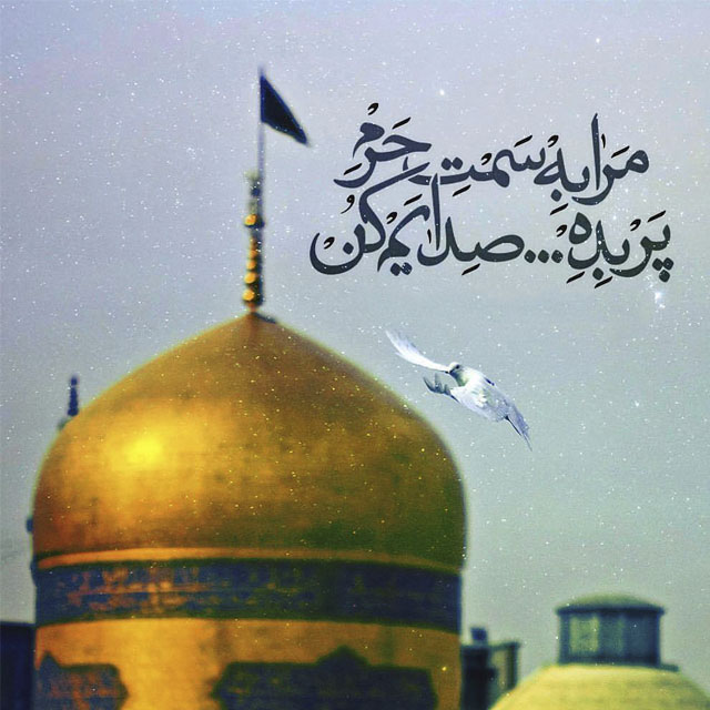 عکس پروفایل مشهد الرضا عکس پروفایل مشهد الرضا