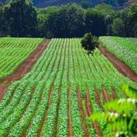 آینده کشاورزی ایران